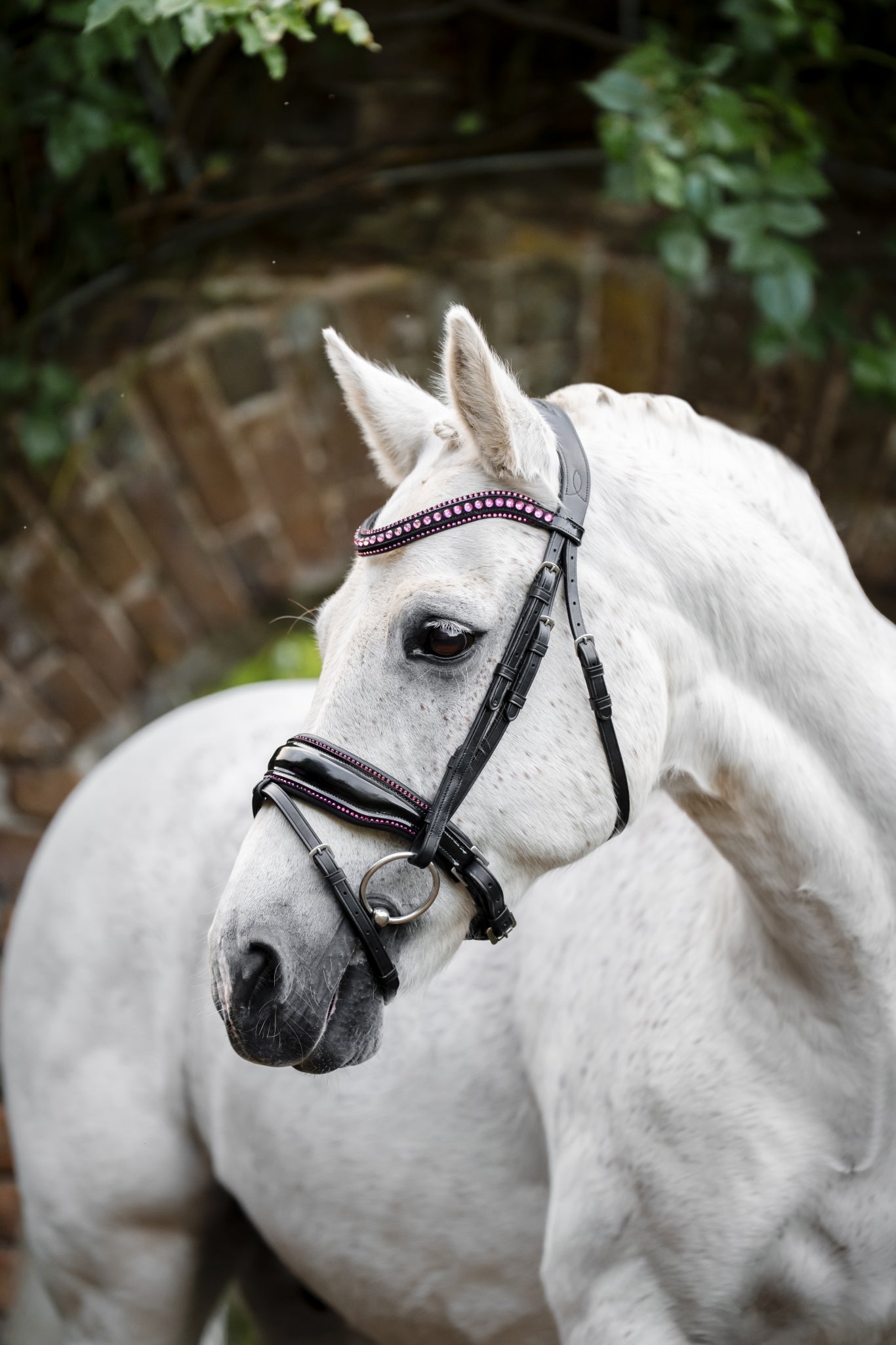 Horseware Pony Diamante Flash Bridle