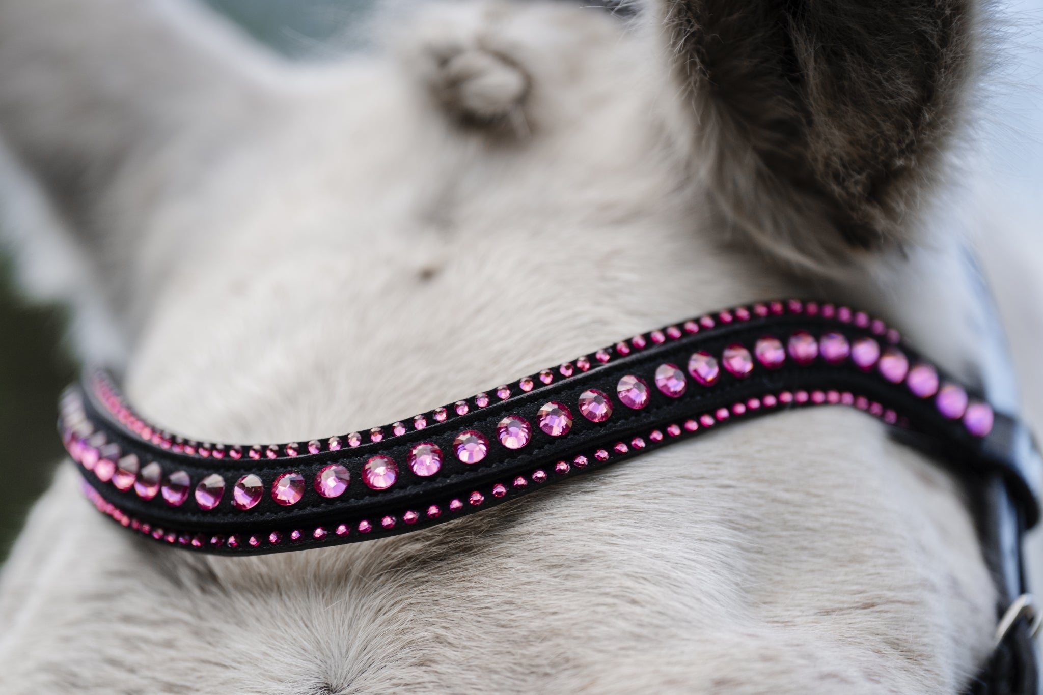 Horseware Pony Diamante Flash Bridle - Image 2