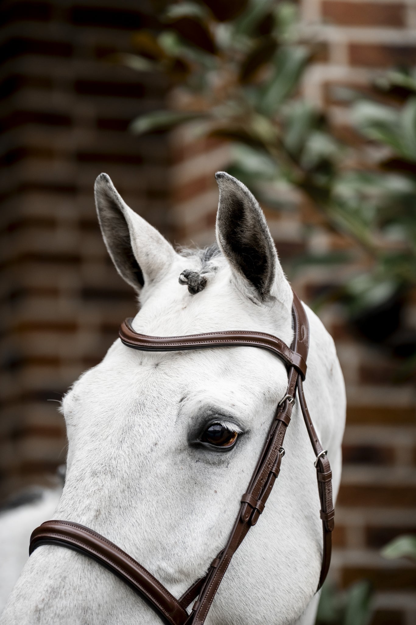 Horseware Cavesson Bridle - Image 3