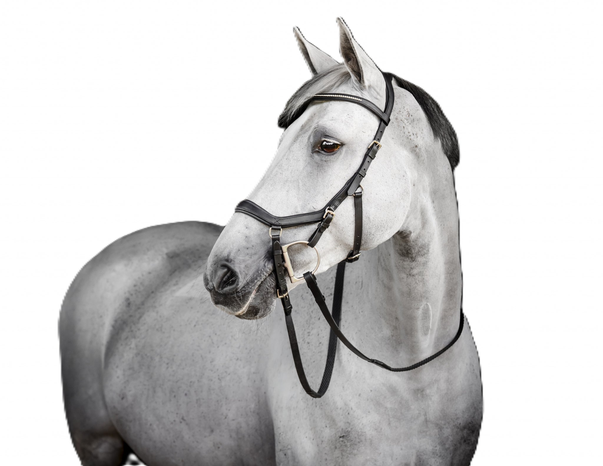 Horseware Micklem Diamante Competition