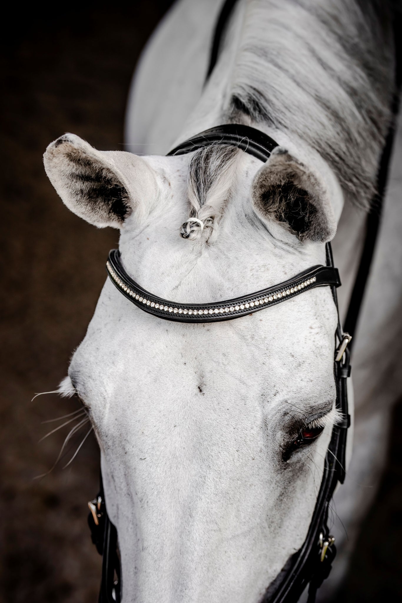 Horseware Micklem Diamante Competition - Image 2