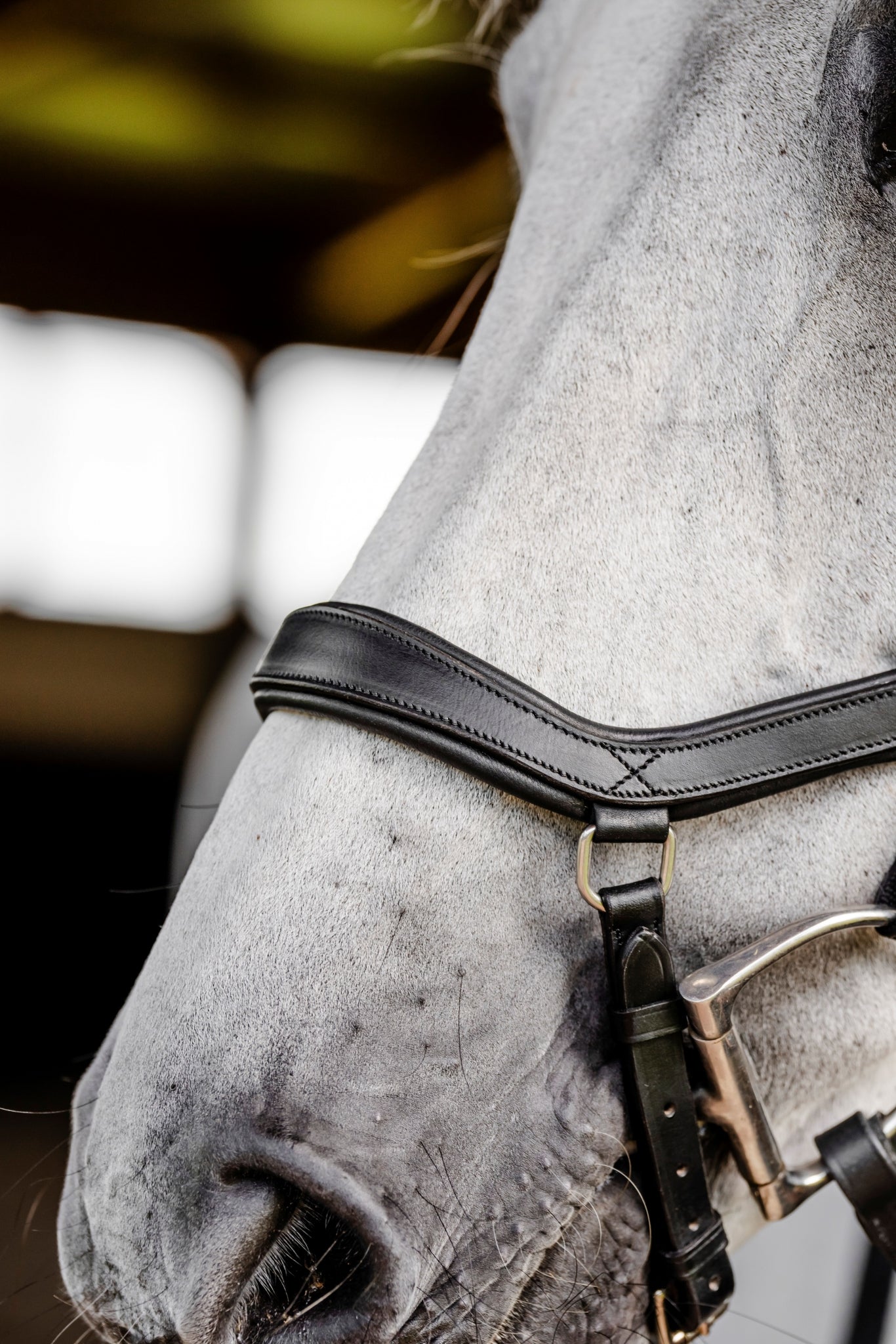 Horseware Micklem Diamante Competition - Image 4