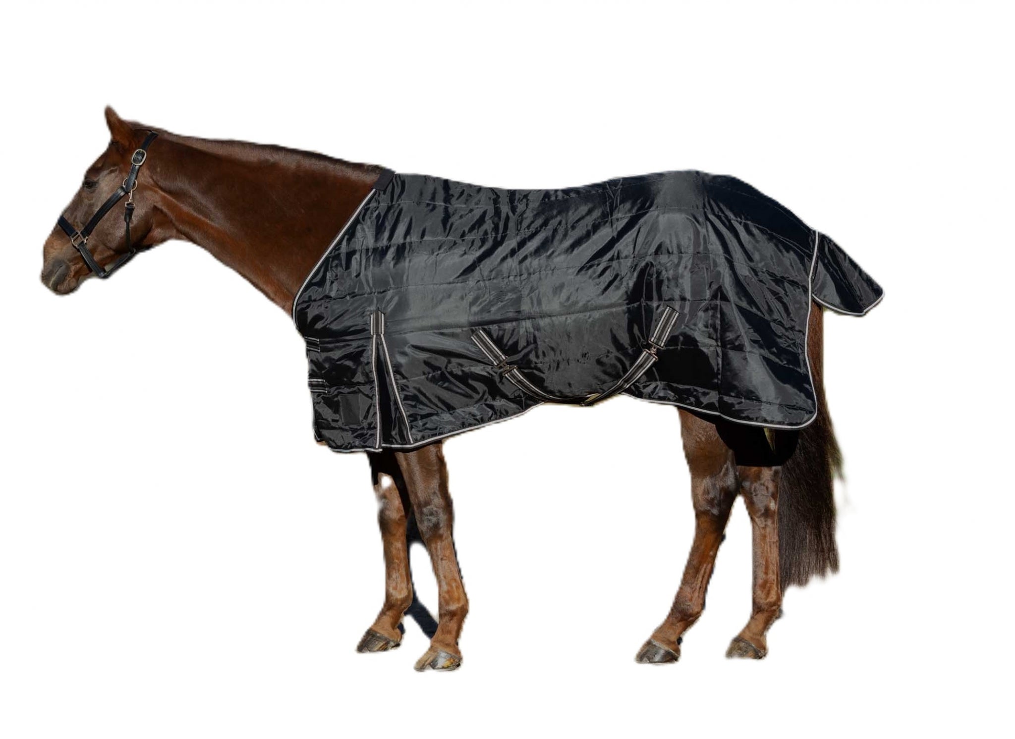 Equinavia Norse Gus Stable Blanket 100g