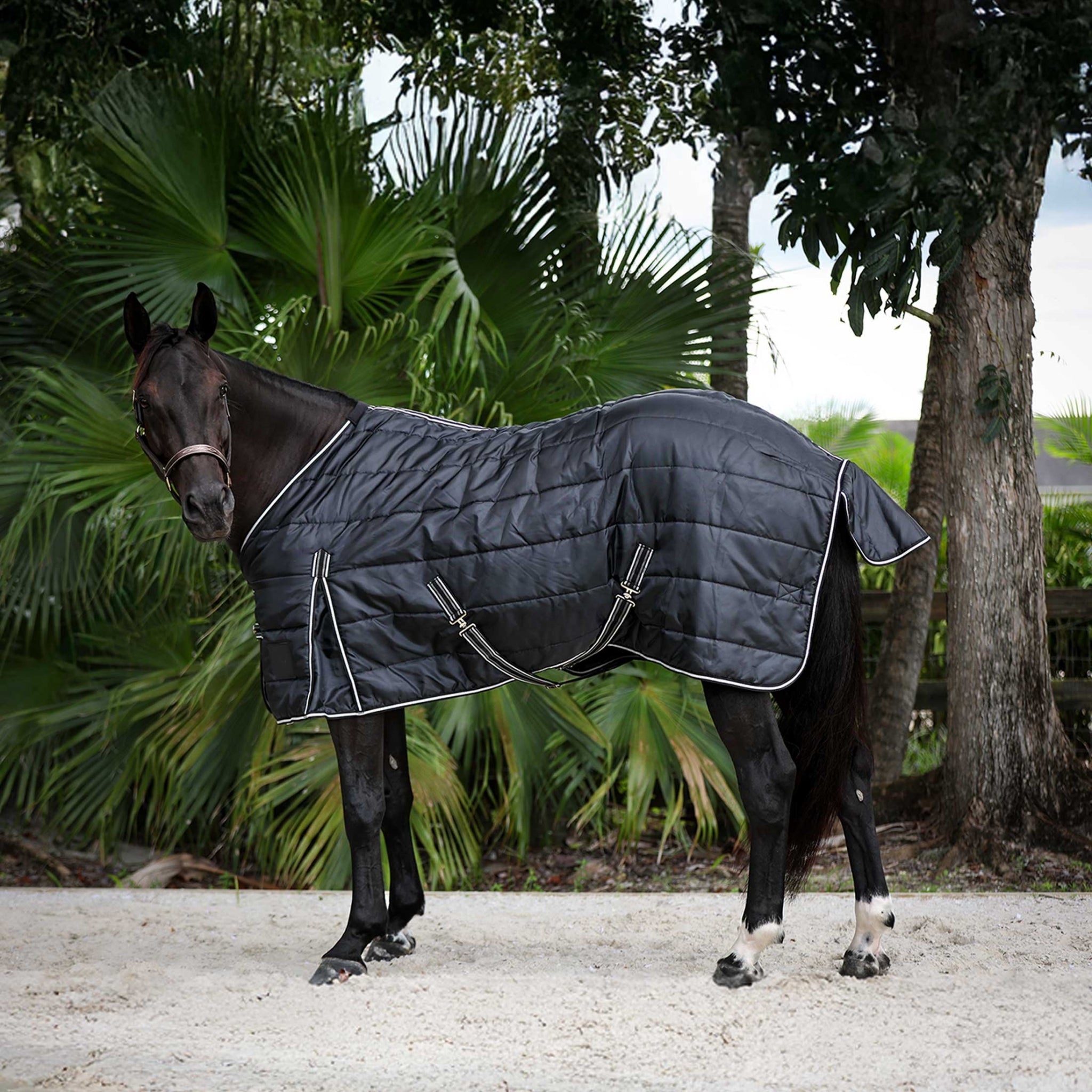 Equinavia Norse Gus Stable Blanket 100g - Image 2