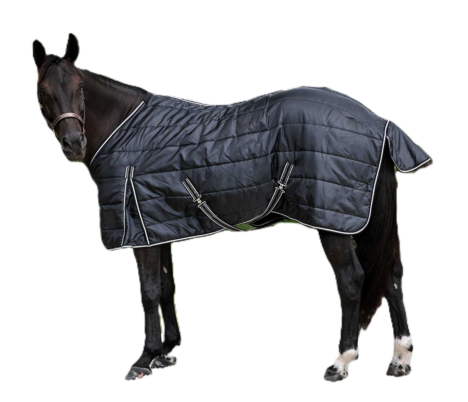 Equinavia Norse Gus Stable Blanket 200g