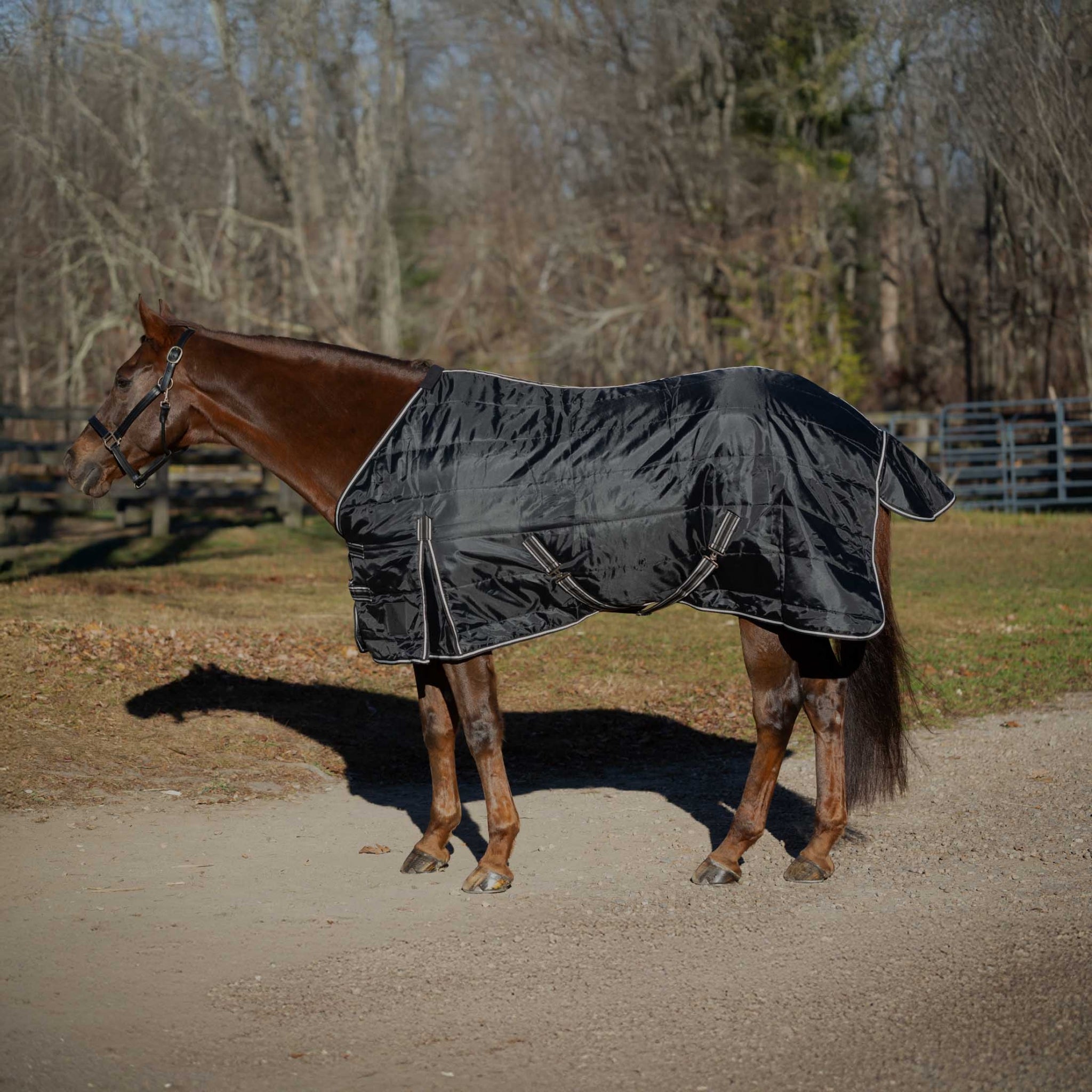 Equinavia Norse Gus Stable Blanket 200g - Image 2