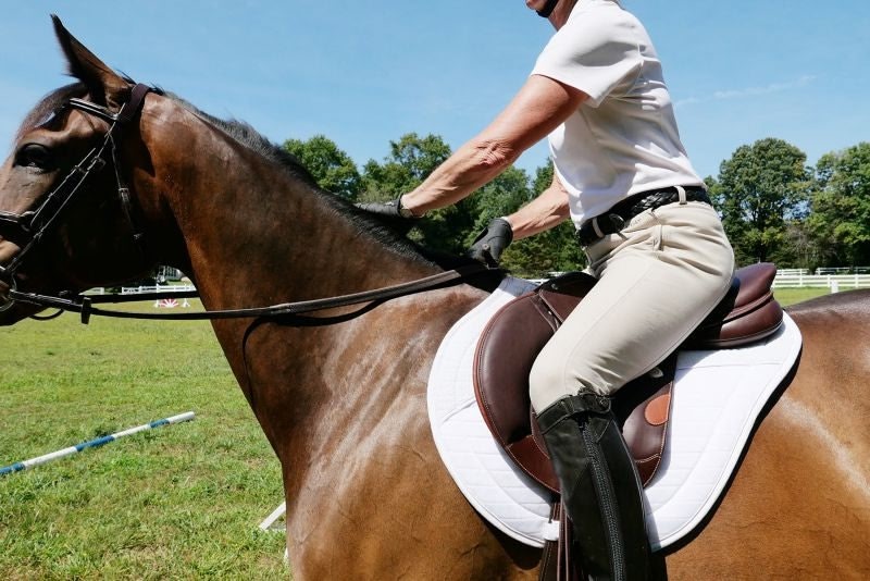 DEMO - Bates Victrix Saddle - Image 10