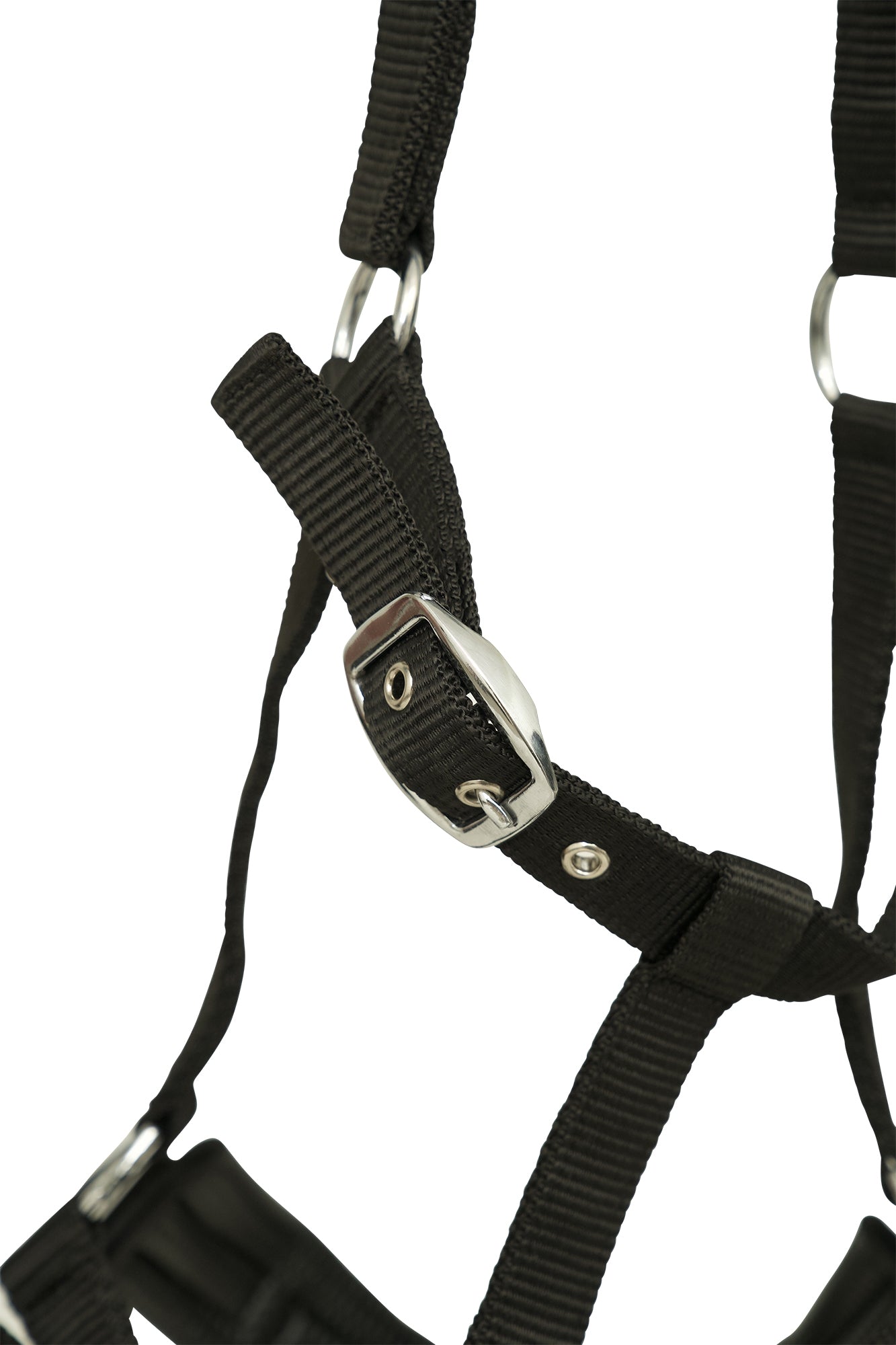 Huntley Equestrian Nylon Padded Lunging Caveson - Image 3