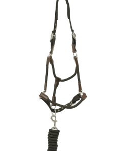 Huntley Equestrian Nylon Halter and Removable Lead with Snap