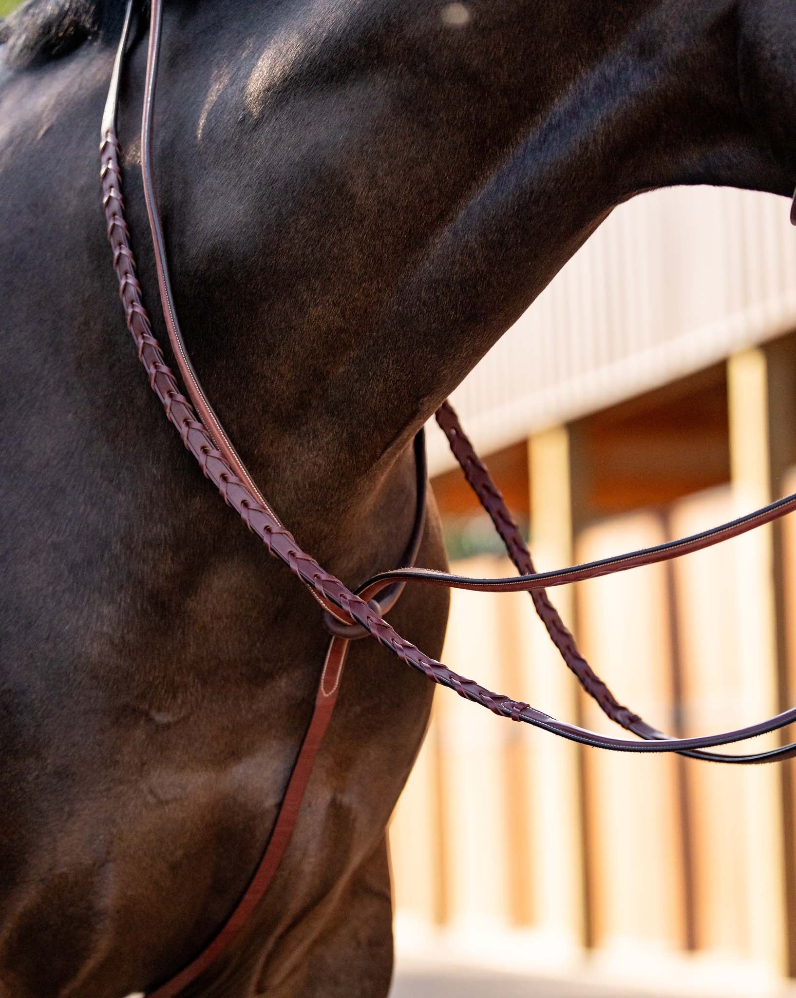 Huntley Equestrian Schooling Standing Martingale - Image 2