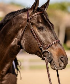 Alternative view of Huntley Equestrian Sedgwick Fancy Stitched Bridle with Cheek Clips and Reins