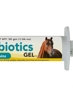 Durvet Probiotics Gel Plus Vitamins