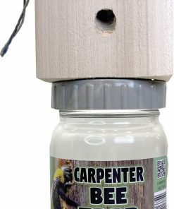 Billy Bob Carpenter Bee Trap