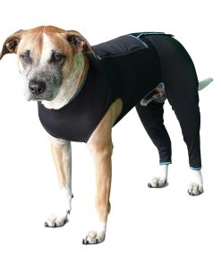 BeneFab Canine Comfort Suit