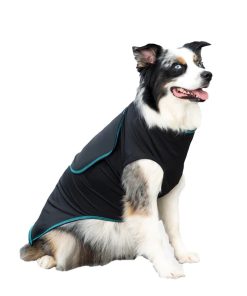 Alternative view of BeneFab Canine Comfort & Care Shirt