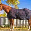 BeneFab Rejuvenate SmartScrim