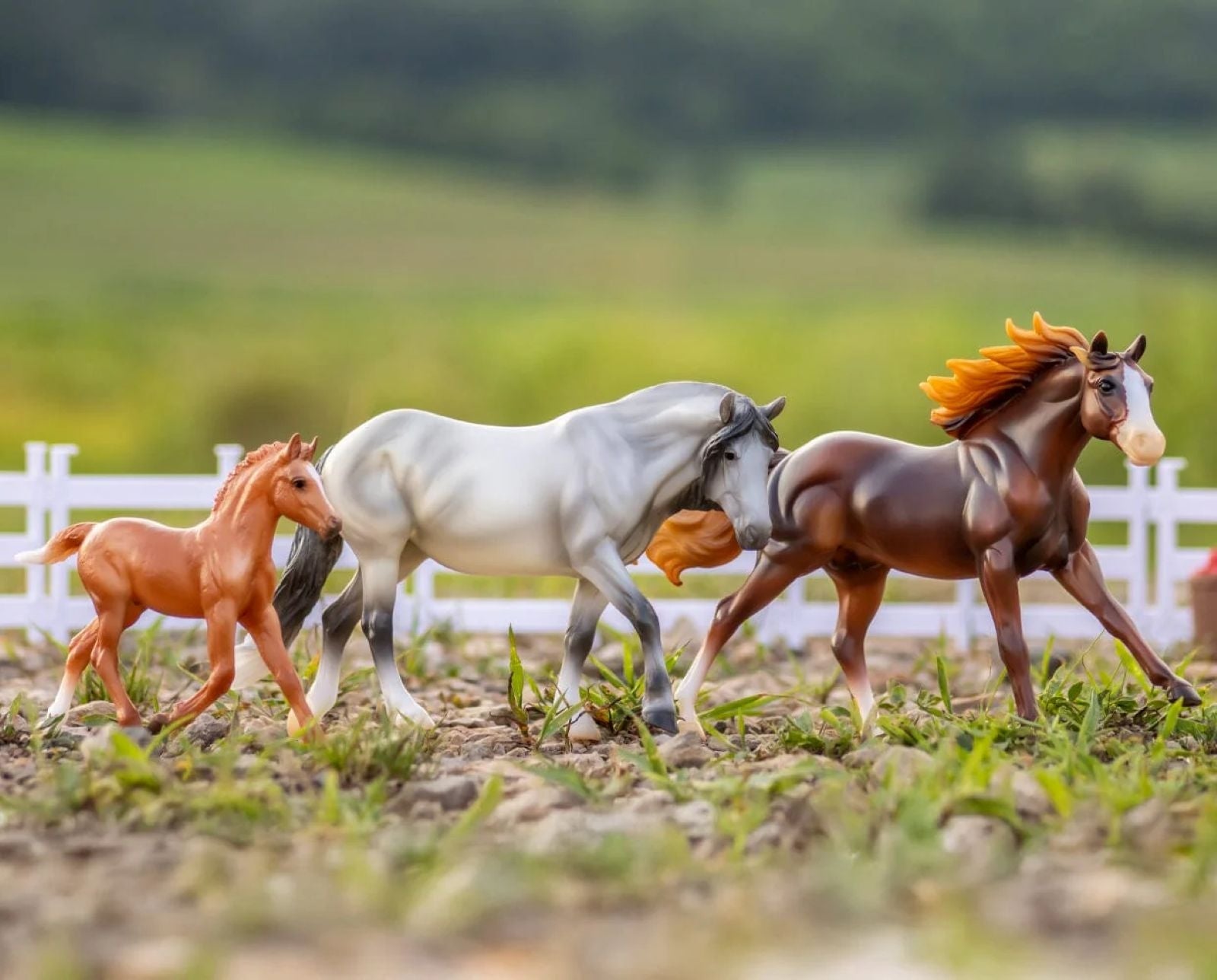 Breyer Playful Pony Horse Family - Image 6