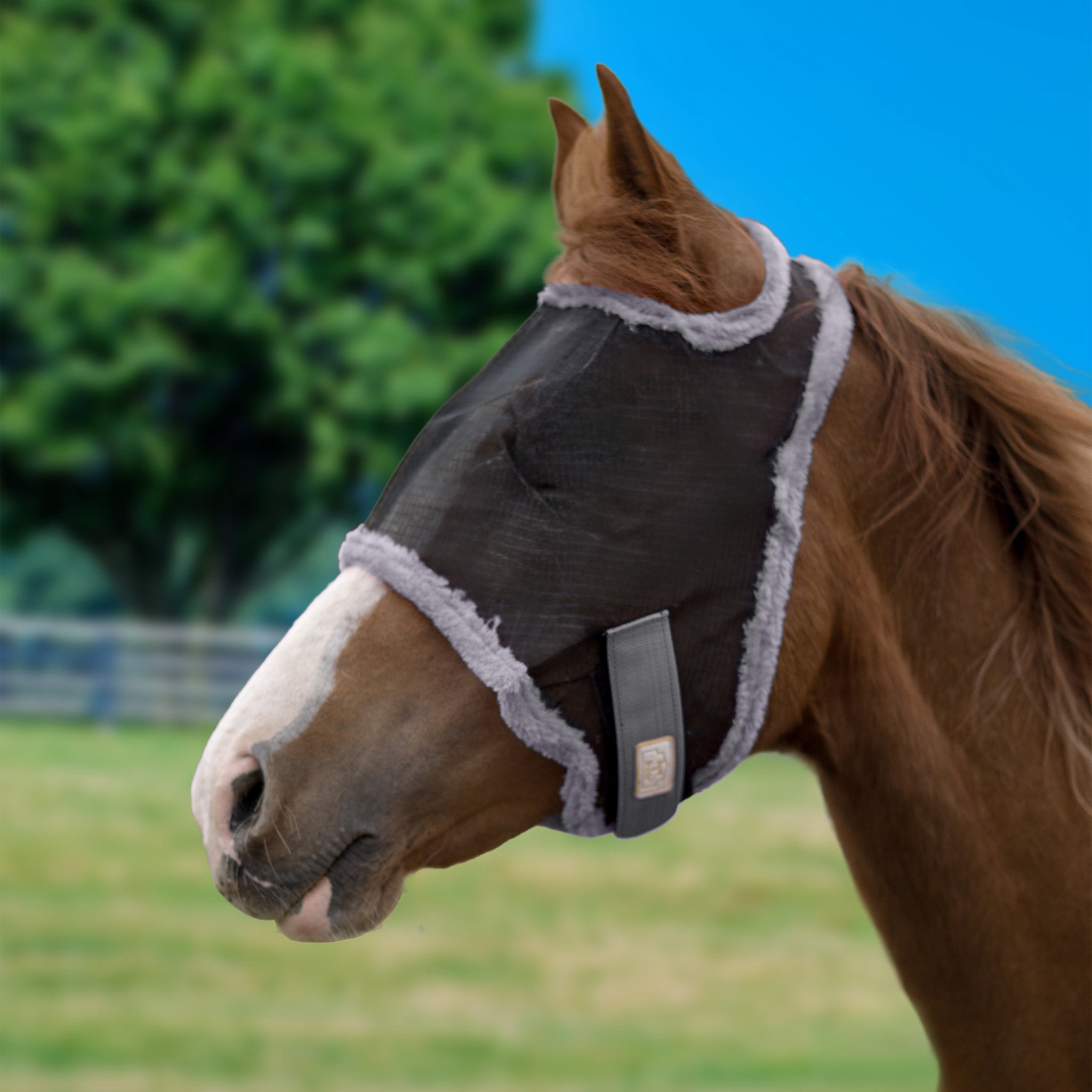 BARN & STABLE Fly Mask without Ears & Fleece Trim - Image 4