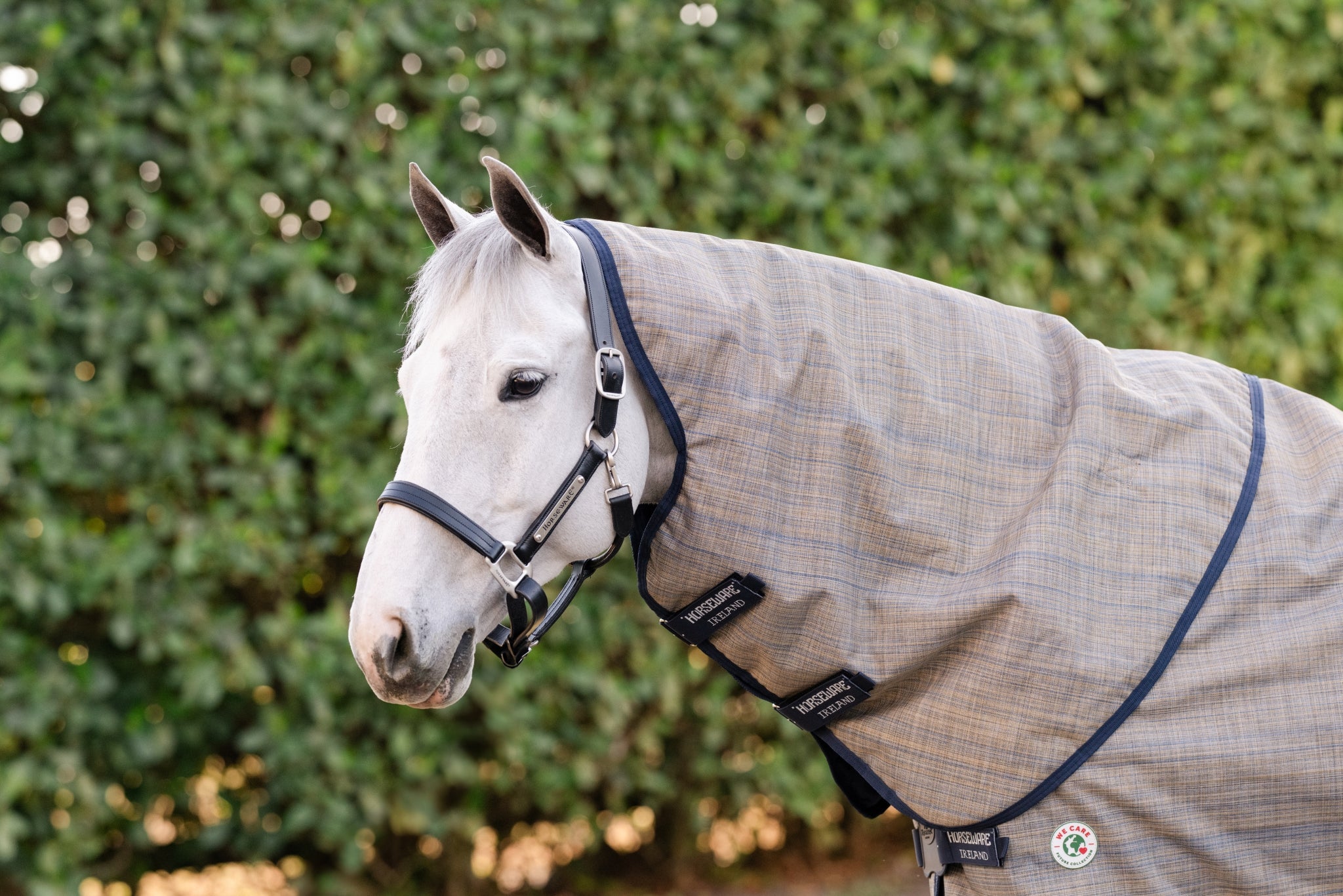 Amigo 900D Revive Plus Turnout 200g - Image 2
