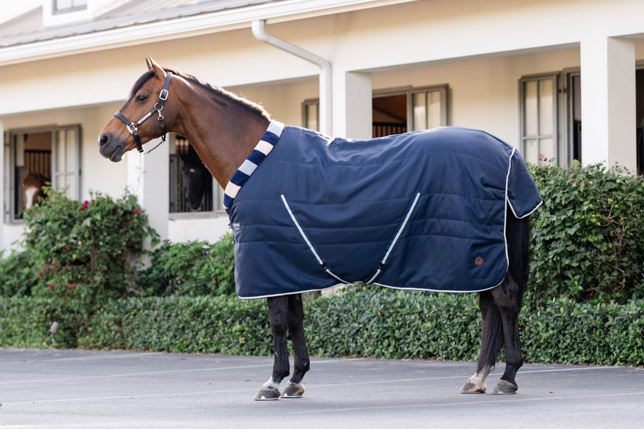 Horseware Newmarket Cozy Stable 100g