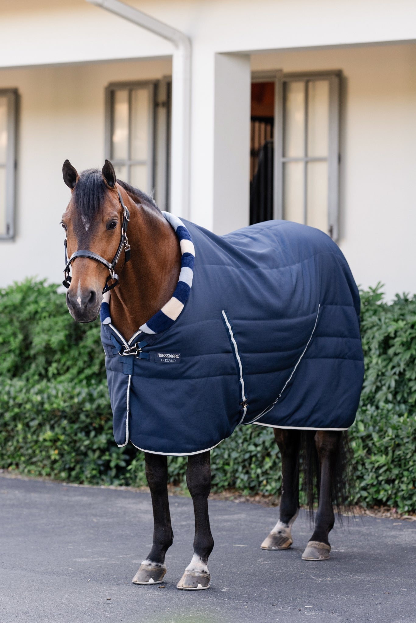 Horseware Newmarket Cozy Stable 100g - Image 2