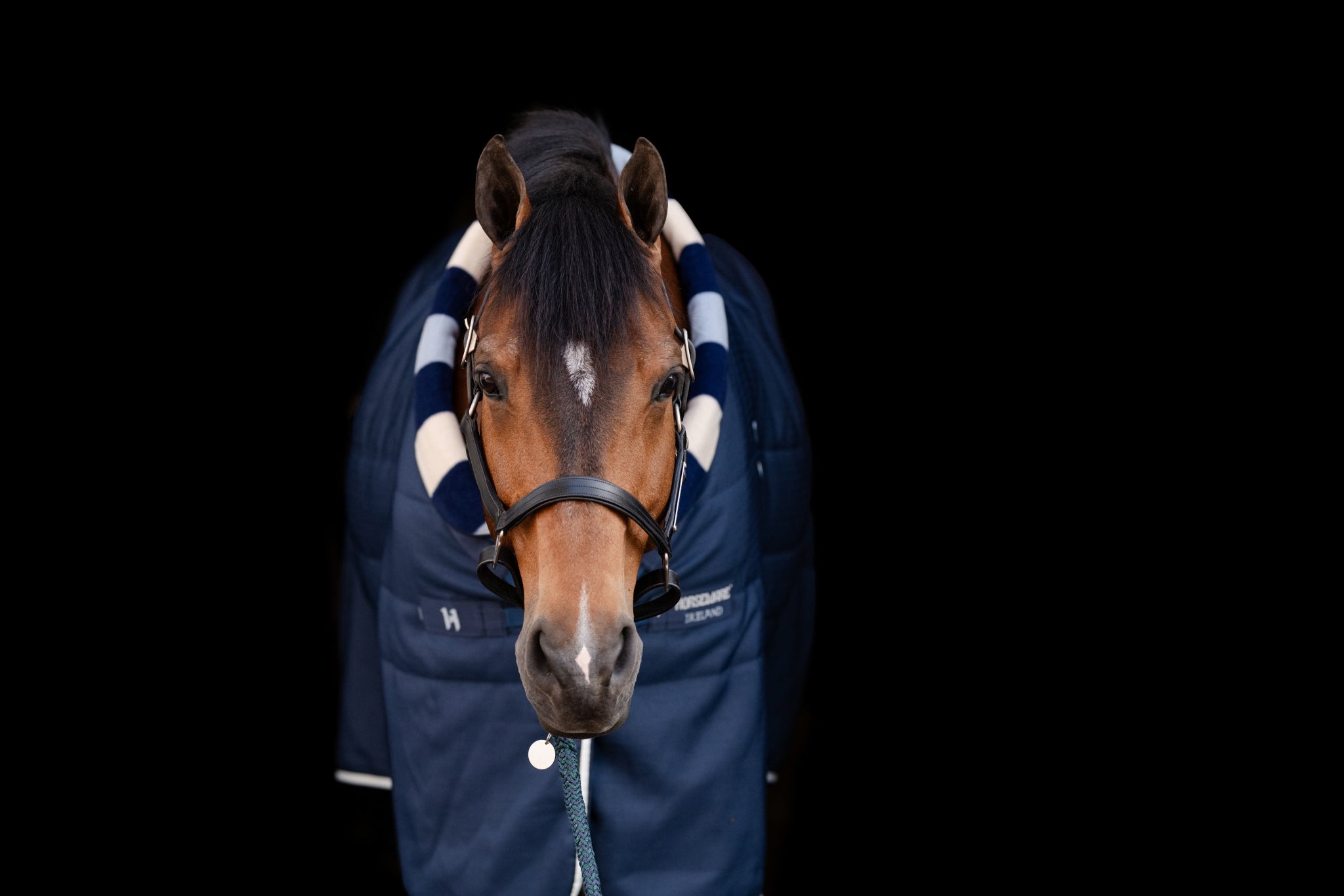 Horseware Newmarket Cozy Stable 100g - Image 4