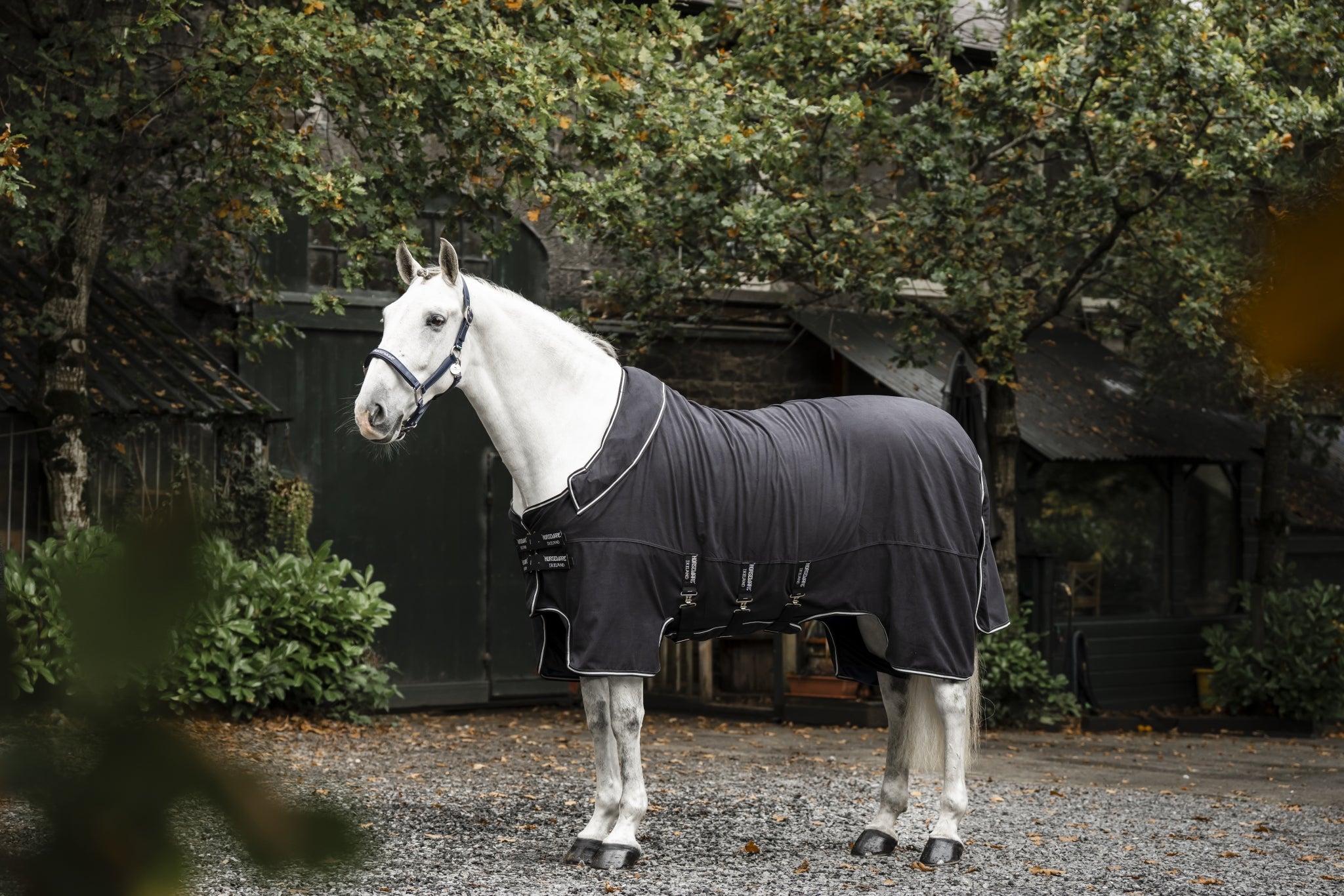 Horseware Show Ready Blanket - Image 2
