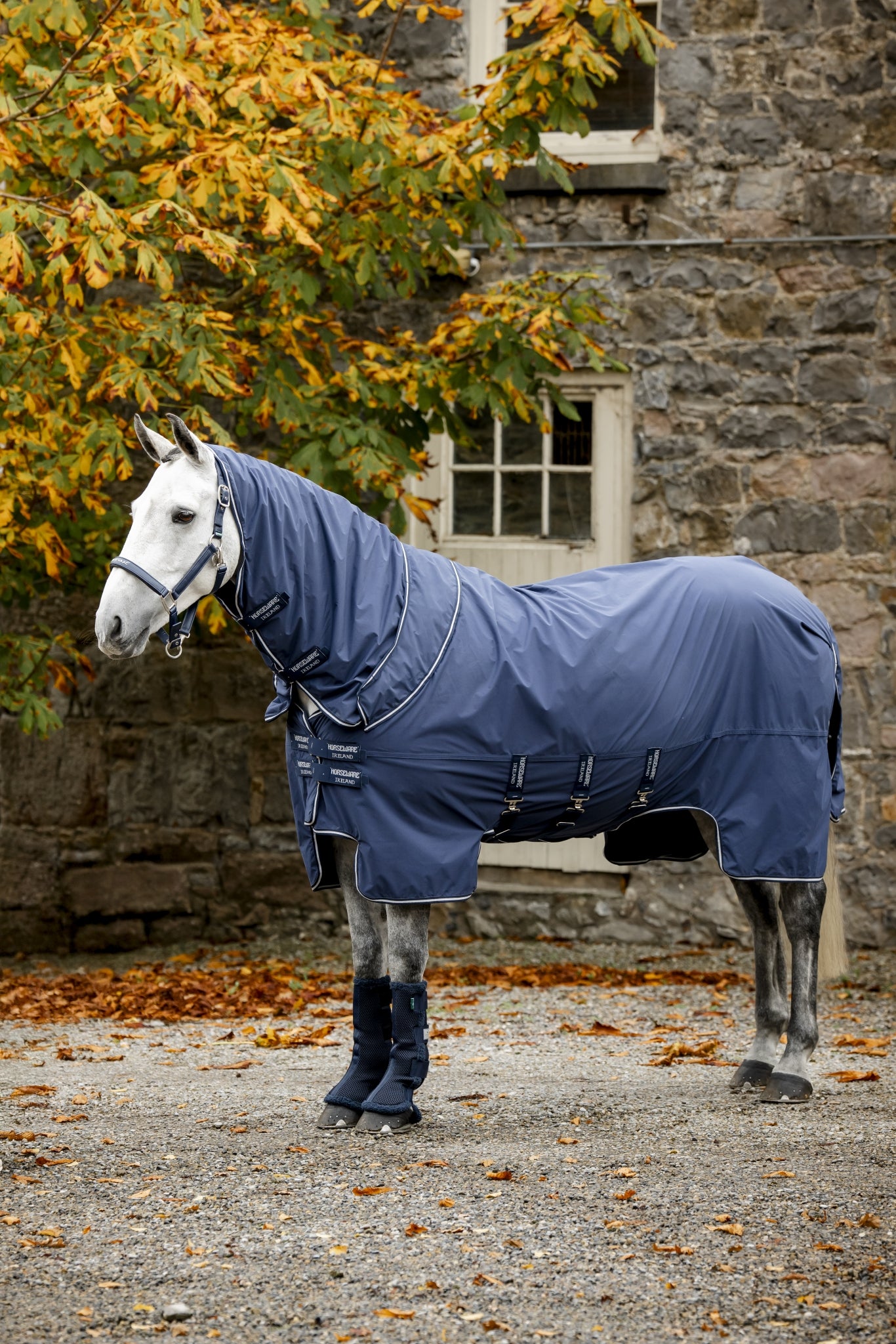 Horseware Show Ready Blanket - Image 3