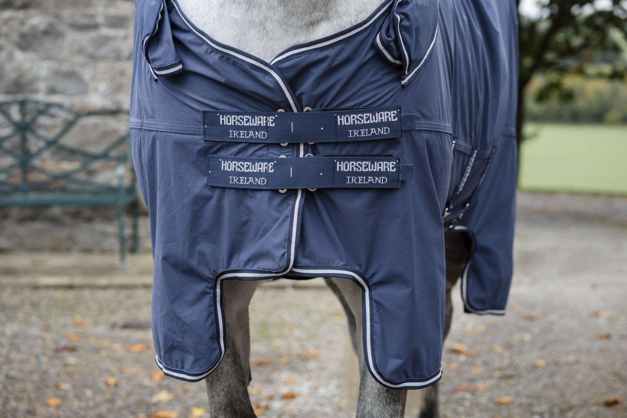 Horseware Show Ready Blanket - Image 4