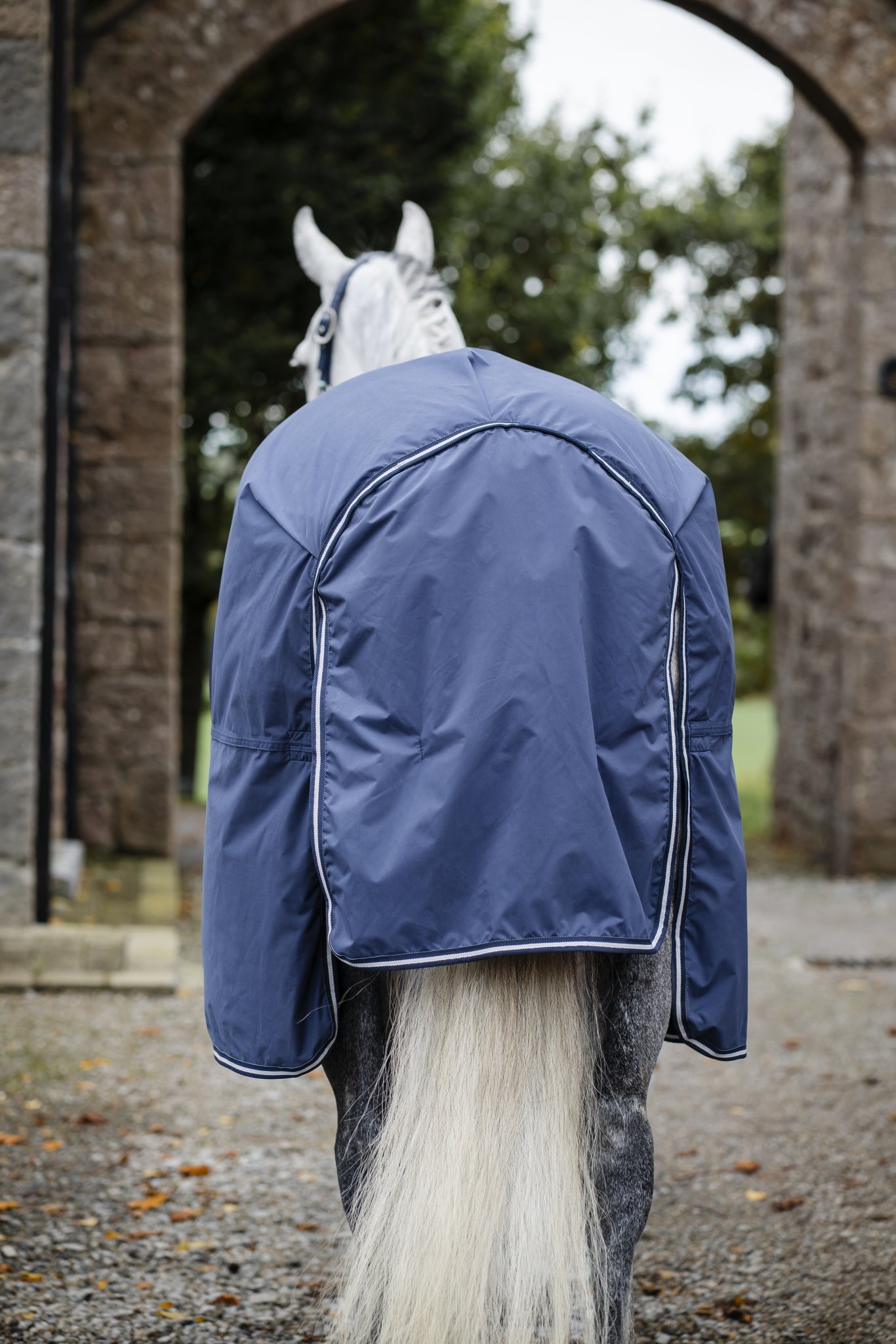 Horseware Show Ready Blanket - Image 5