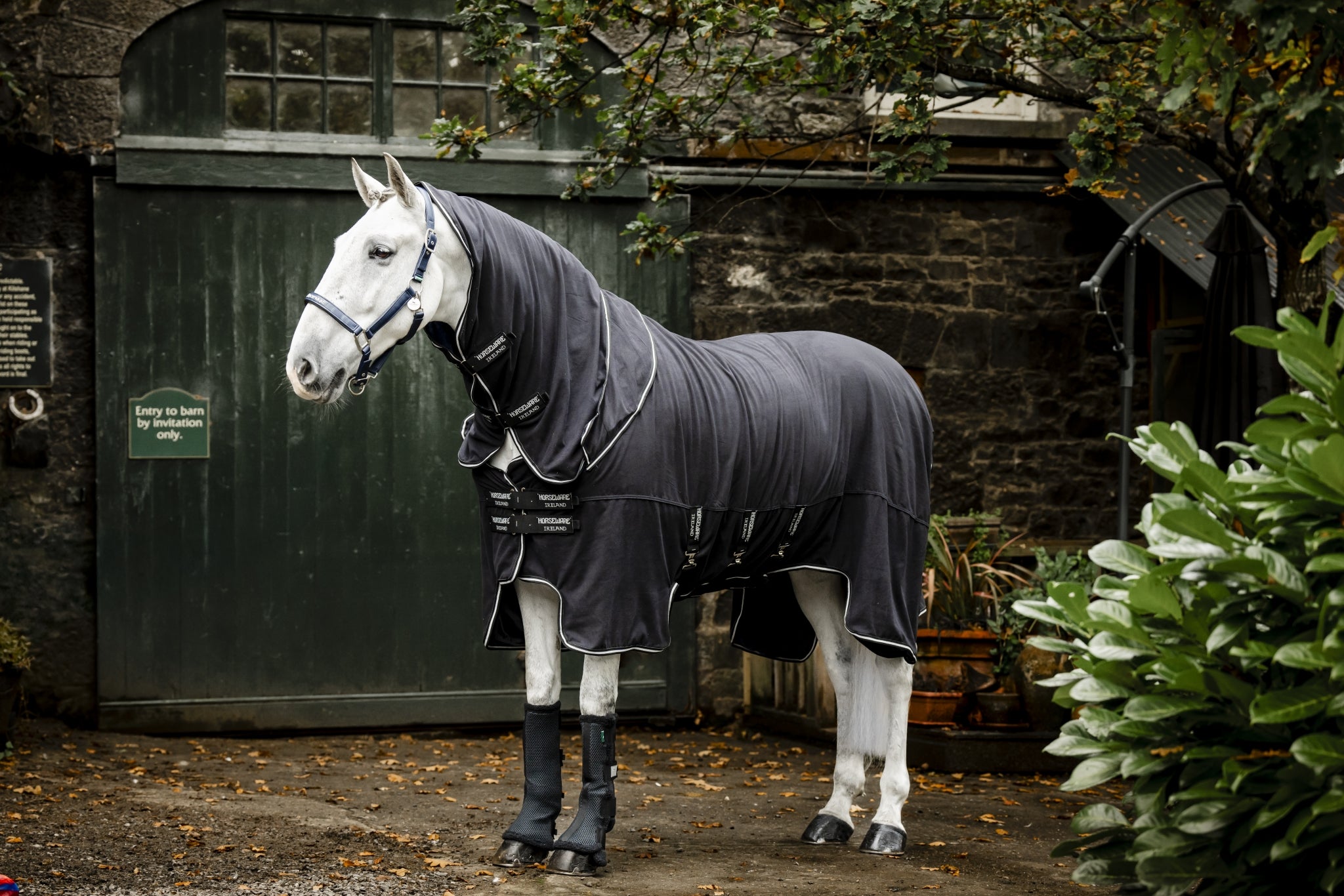 Horseware Show Ready Blanket - Image 6