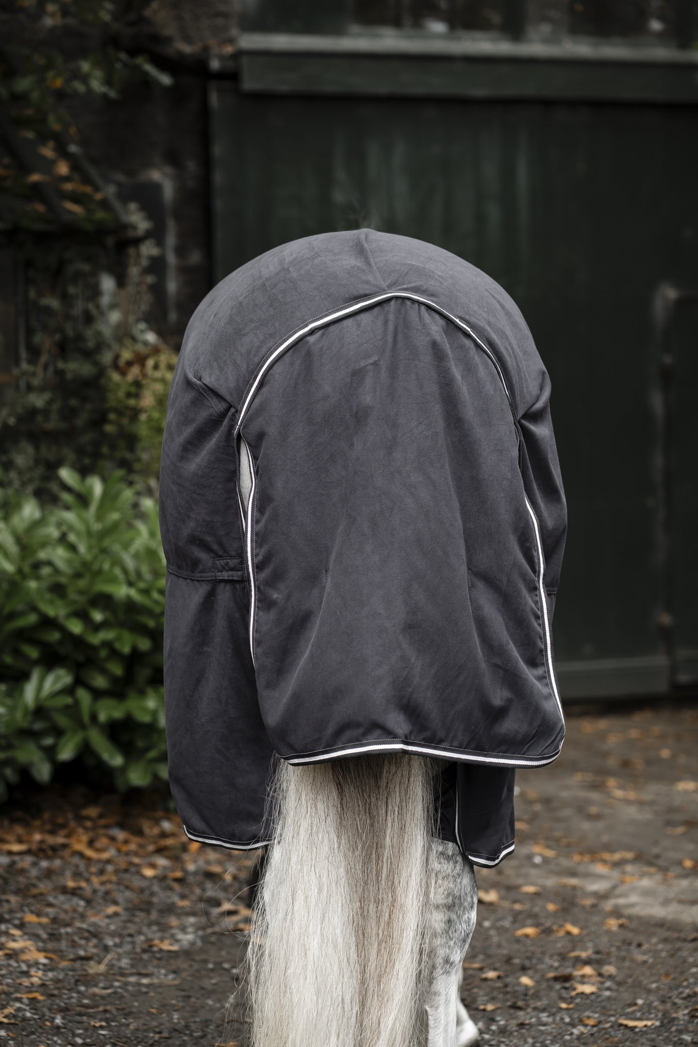 Horseware Show Ready Blanket - Image 8