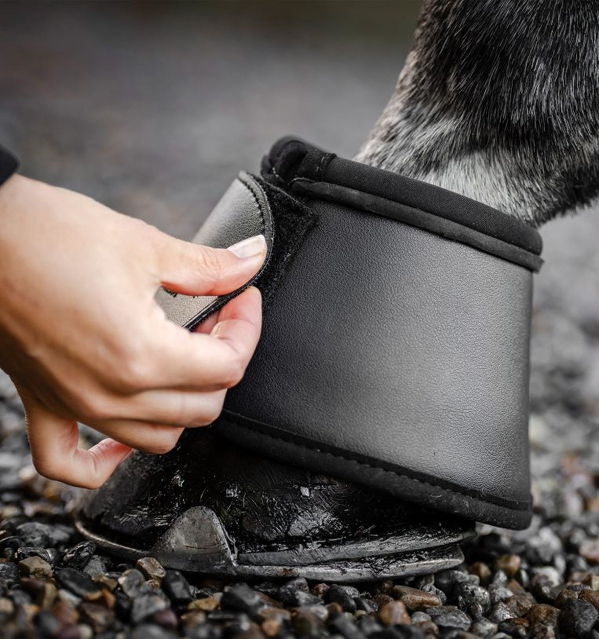 Horseware Overreach Boots - Image 3