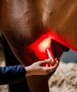 Alternative view of Horseware LED Red Light Therapy Wand