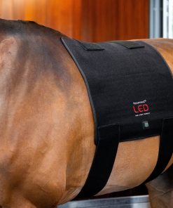 Horseware LED Red Light Therapy Pad