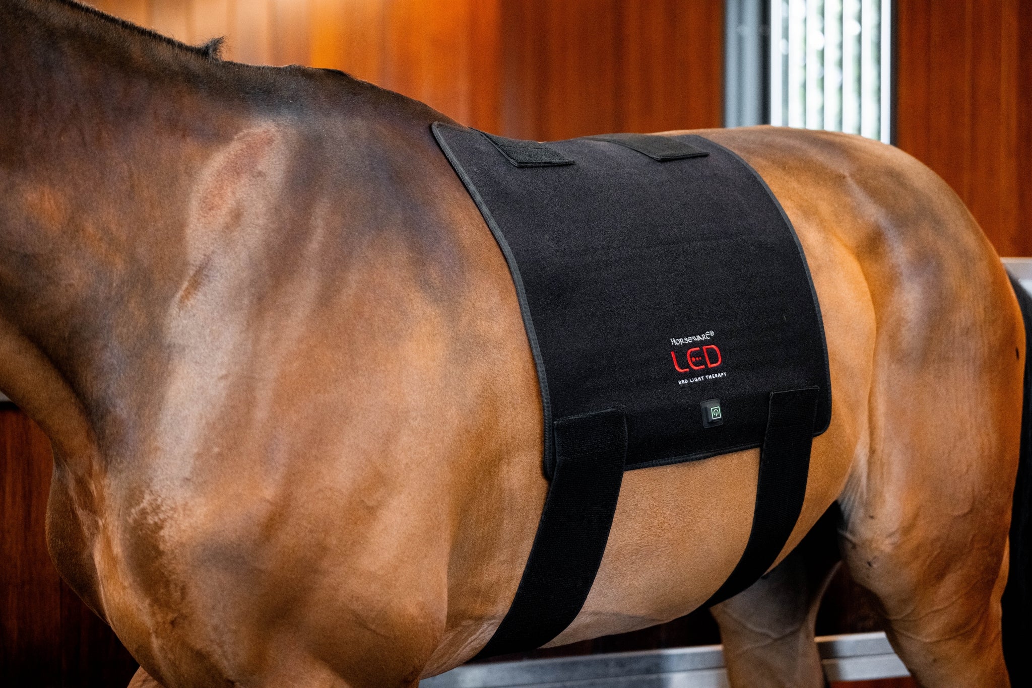 Horseware LED Red Light Therapy Pad