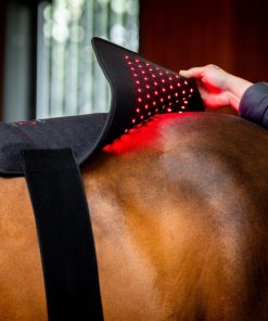 Alternative view of Horseware LED Red Light Therapy Pad