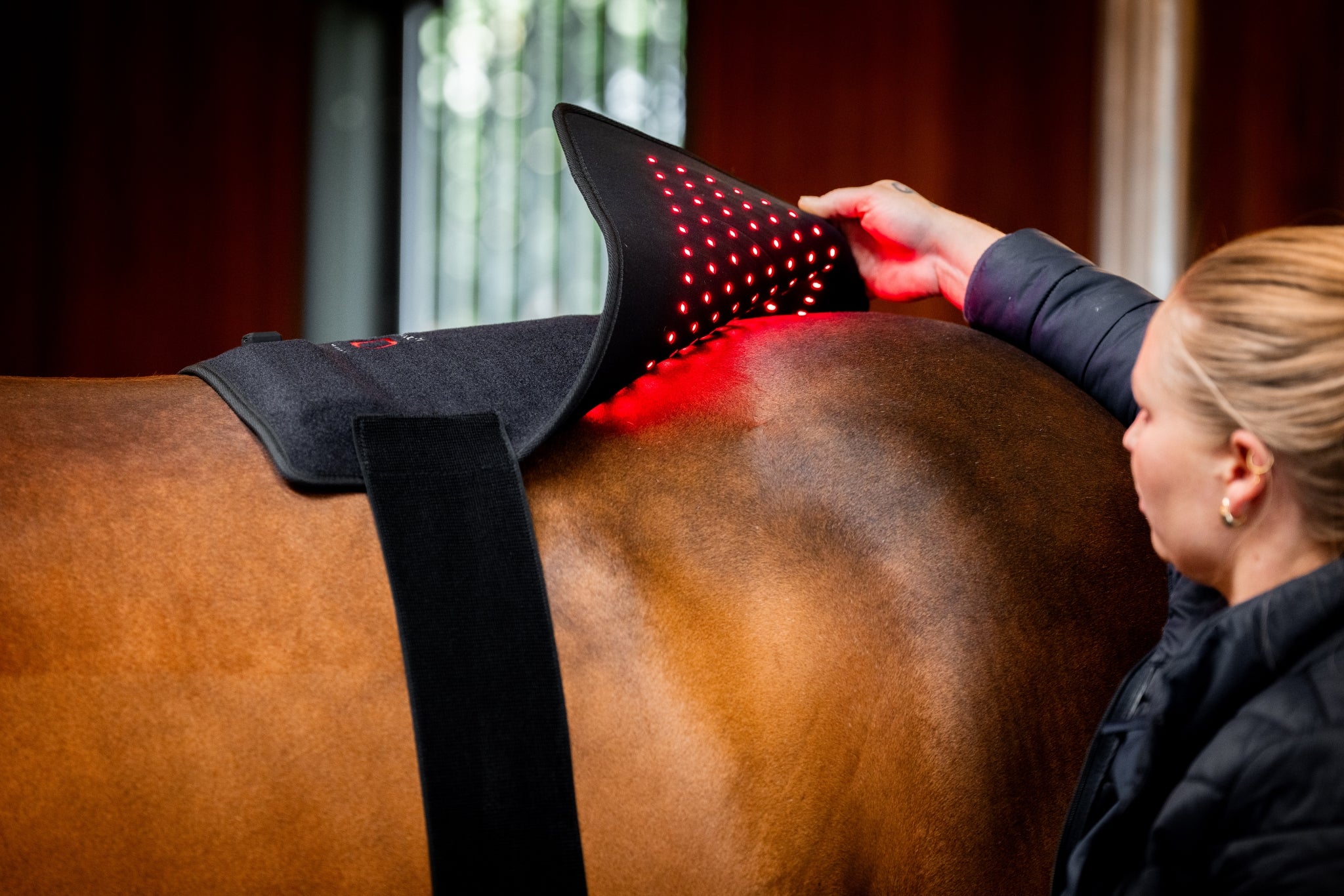 Horseware LED Red Light Therapy Pad - Image 2