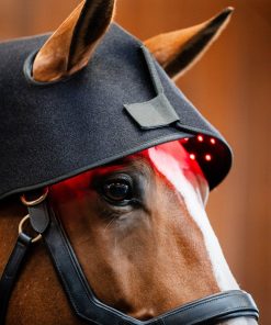 Alternative view of Horseware LED Red Light Therapy Poll Cap