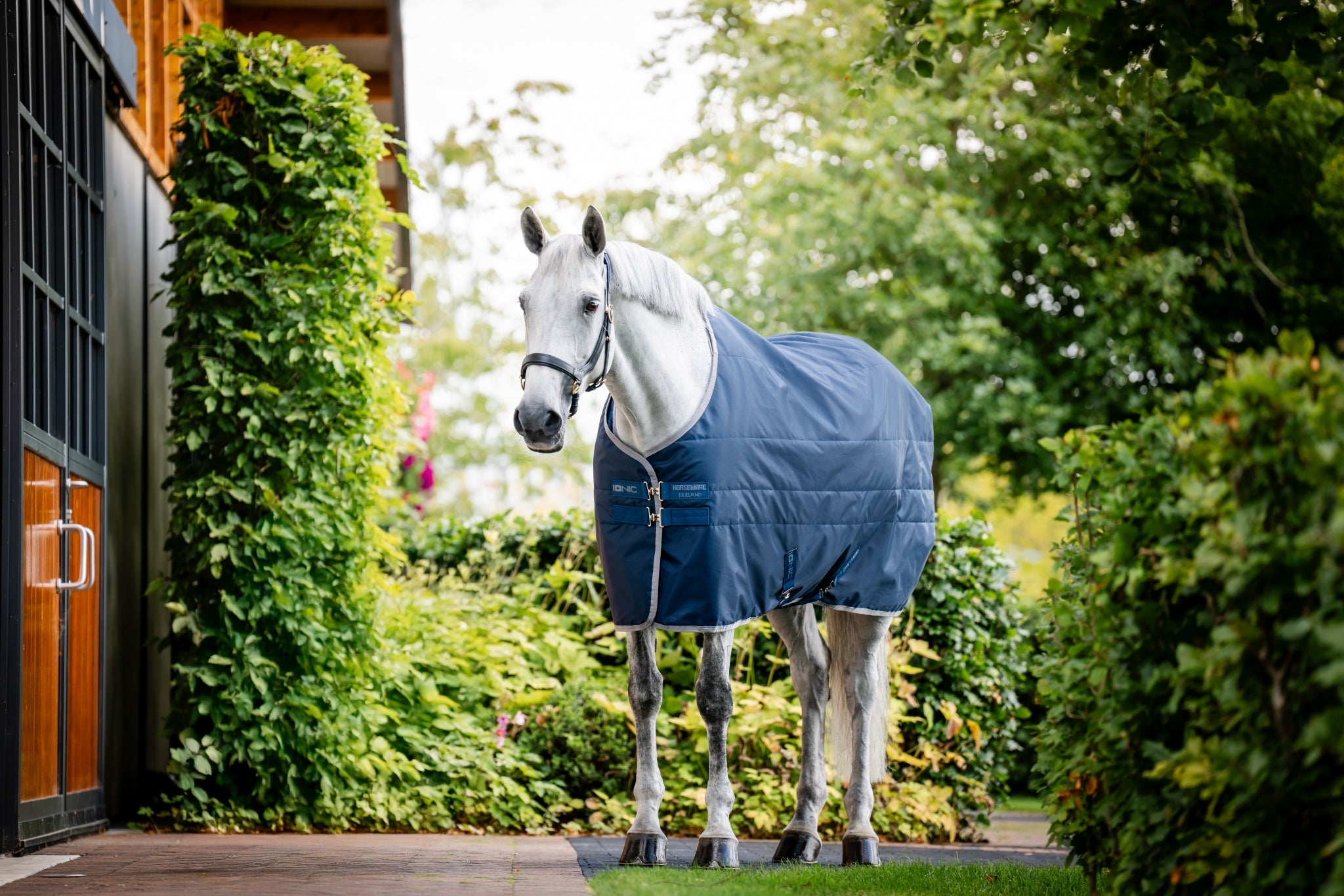 Horseware Ionic Therapy Stable 50g