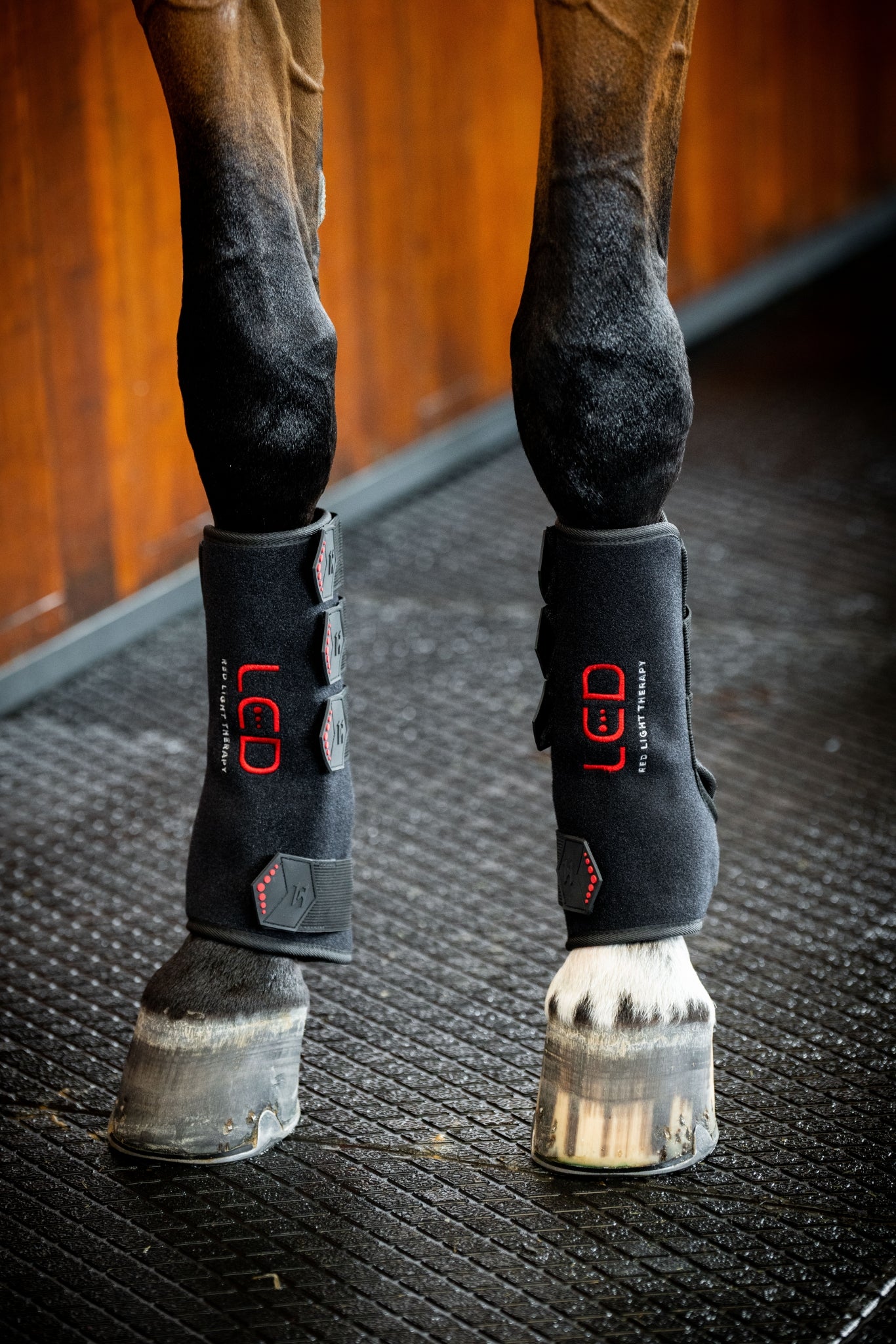 Horseware LED Red Light Therapy Leg Wrap