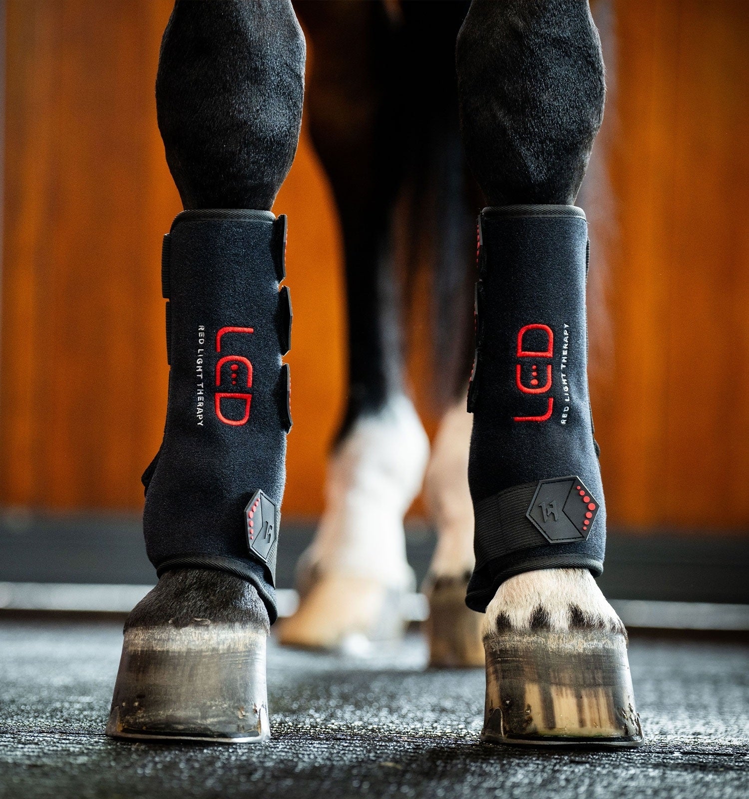 Horseware LED Red Light Therapy Leg Wrap - Image 2