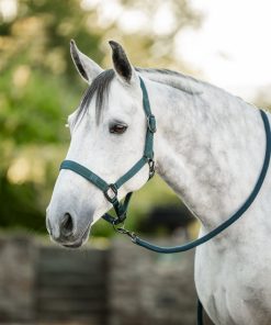 Horseware Halter & Lead Rope