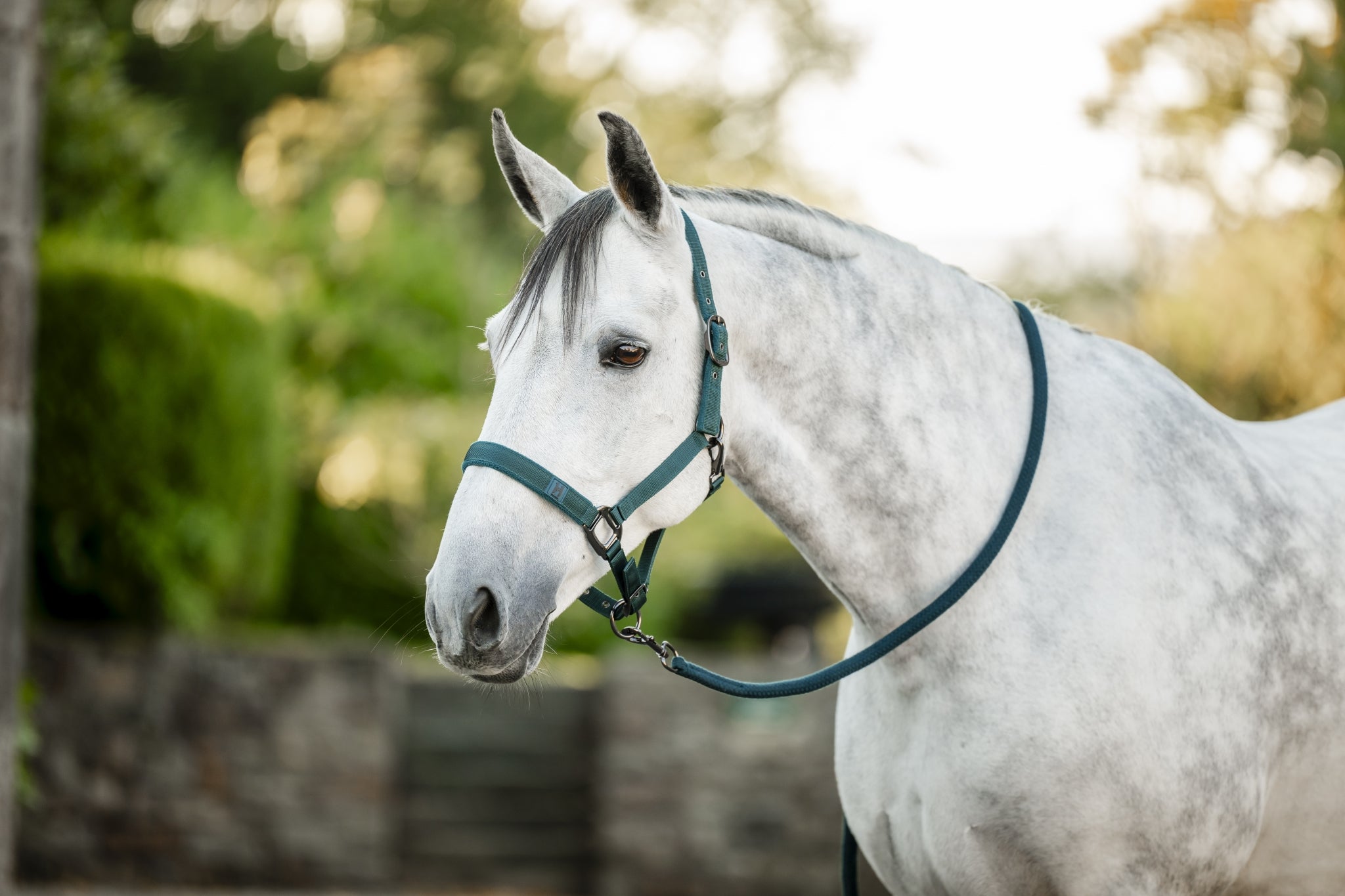 Horseware Halter & Lead Rope