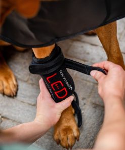 Horseware LED Red Light Therapy Pet Leg Wraps