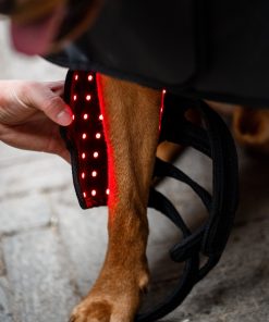 Alternative view of Horseware LED Red Light Therapy Pet Leg Wraps