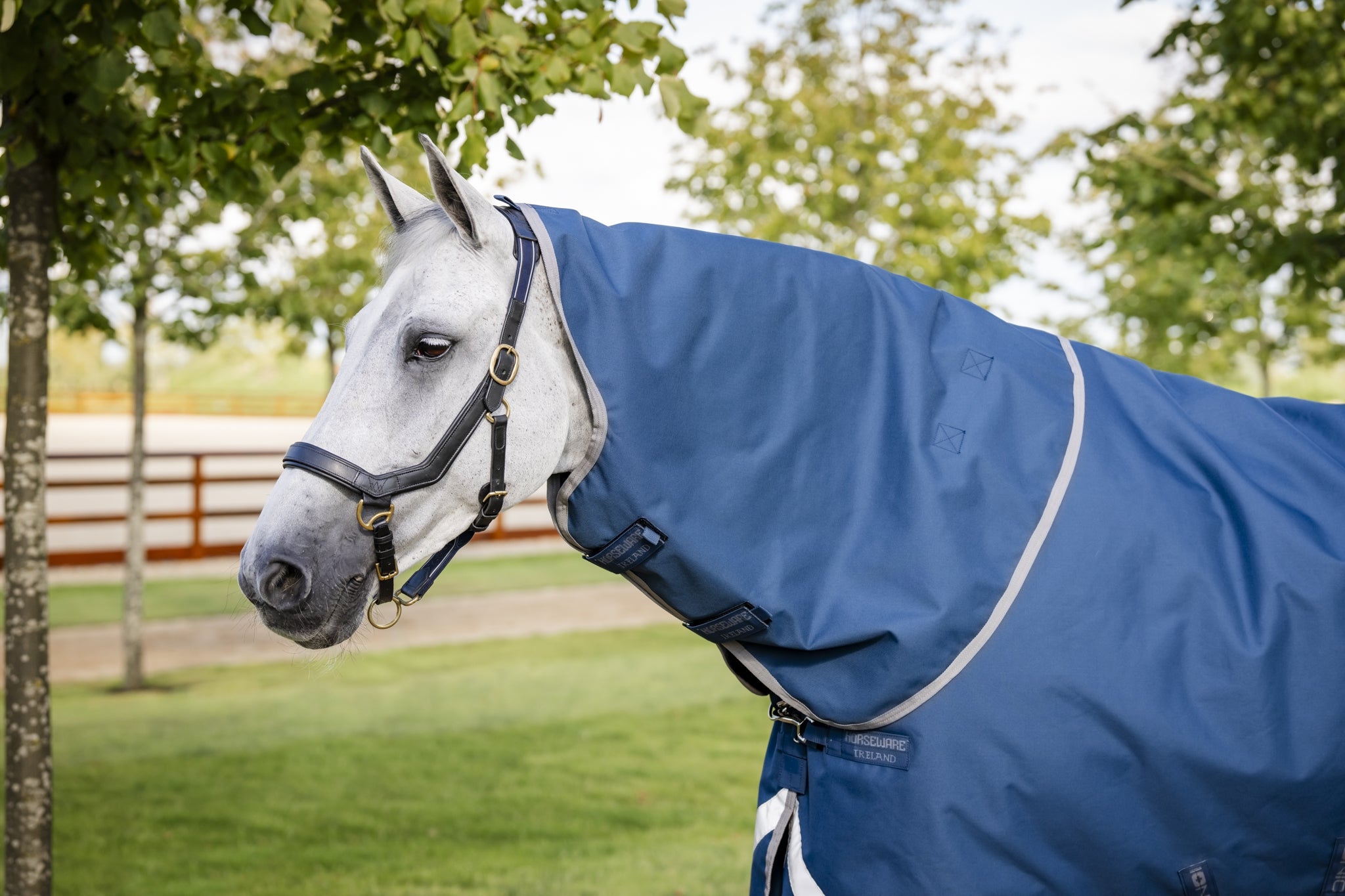 Horseware Ionic Therapy Turnout Hood 0g