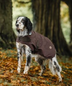 Alternative view of Horseware Newmarket Heritage Dog Coat