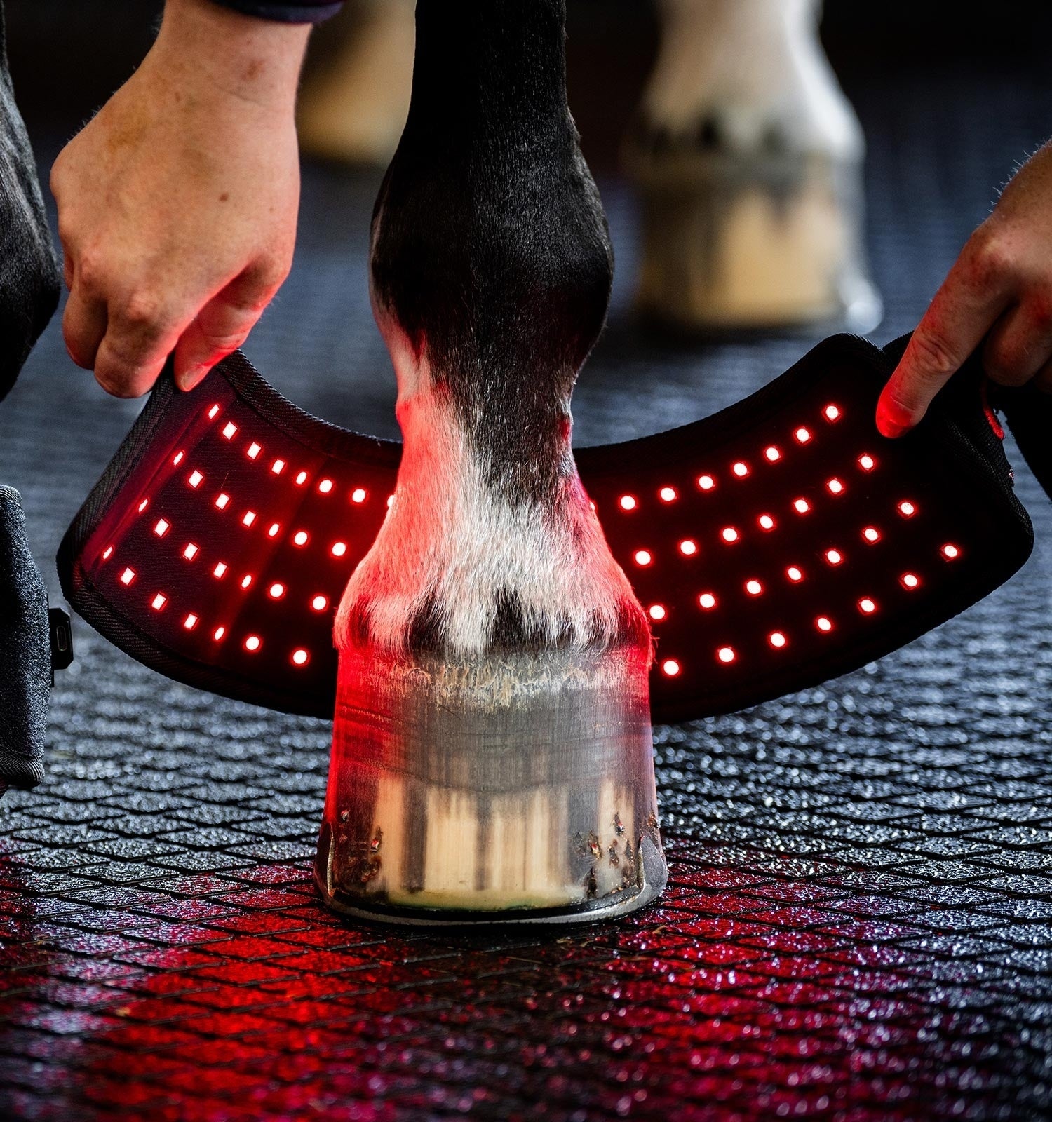 Horseware LED Red Light Therapy Mini Wrap - Image 3