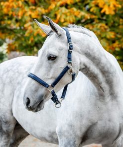 Horseware Grooming Headcollar